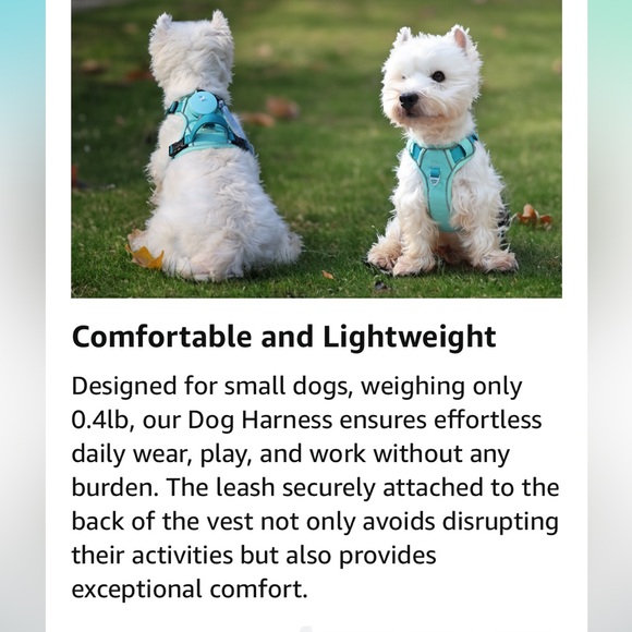 New Dog Harness for XS Dogs up to 16lbs, 3-in-1 No Pull Lightweight Harness - Picture 7 of 16